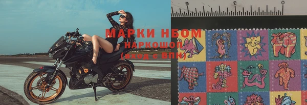 метадон Богданович