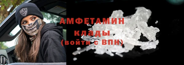 метадон Богданович