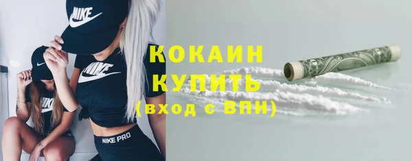 метадон Богданович