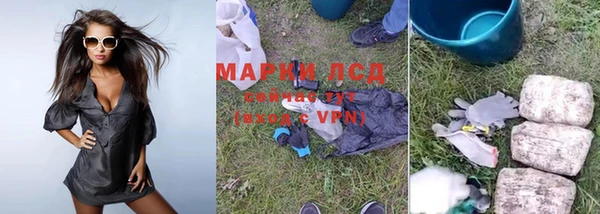 метадон Богданович